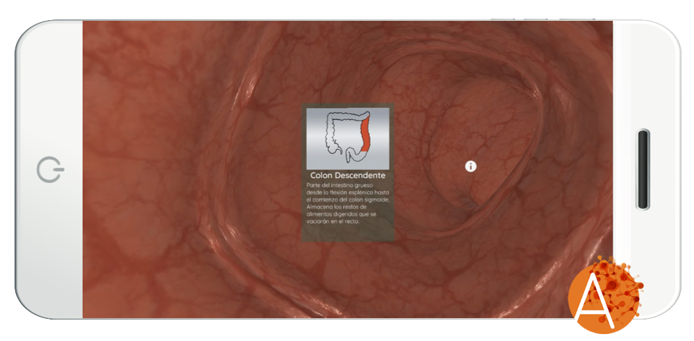 Anatomyou Device From Inside Interactive ES