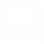 Anatomyou - VR headset